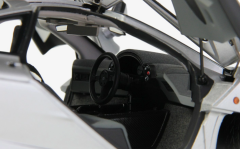 LCD-MODEL - McLAREN - F-1 XP5 1993