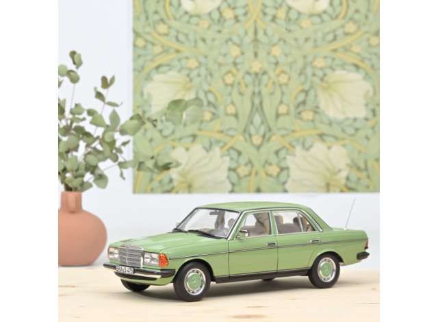 1982 Mercedes Benz 200, light green