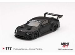 Bentley Continental GT3 *Test Car*, black