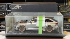 VIP Model Audi RS666 Silver Gray