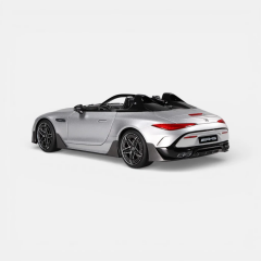 1/18 NZG Mercedes-AMG PureSpeed - 111100055