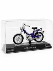 1/18 Magazine Models TESTI CRICKET