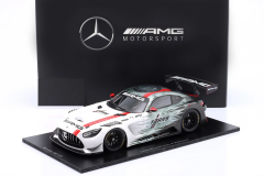 SPARK - Mercedes-AMG GT3, Celebrating 130 Years of Motorsport, C190