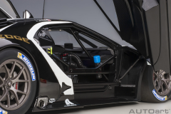 1/18 AUTOART FORD GT GTE Pro Le Mans 24h - 81910