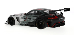 SPARK - Mercedes-AMG GT3, Celebrating 130 Years of Motorsport, C190