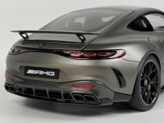 1/12 NZG Mercedes-AMG GT 63 - 103310052-B