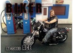 1/18 biker *ace*