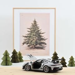 Porsche 911 GT3 RS 2022 İCE GREY