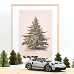 Porsche 911 GT3 RS 2022 İCE GREY