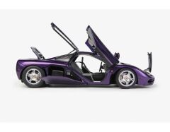 LCD-MODEL - McLAREN - F-1 XP5 1993